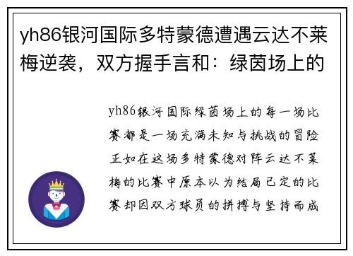 yh86银河国际多特蒙德遭遇云达不莱梅逆袭，双方握手言和：绿茵场上的戏剧性一夜
